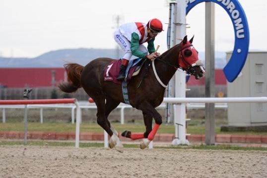 KOCAELİ TAHMİNLERİM - 29 TEMMUZ