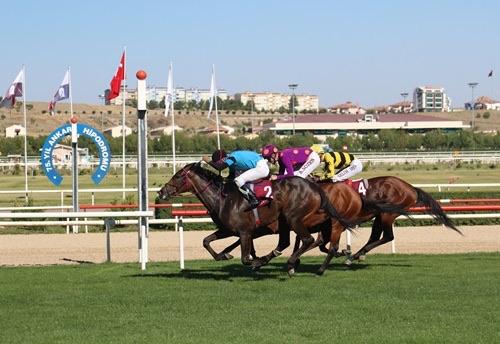 ANKARA TAHMİNLERİM - 21 AĞUSTOS