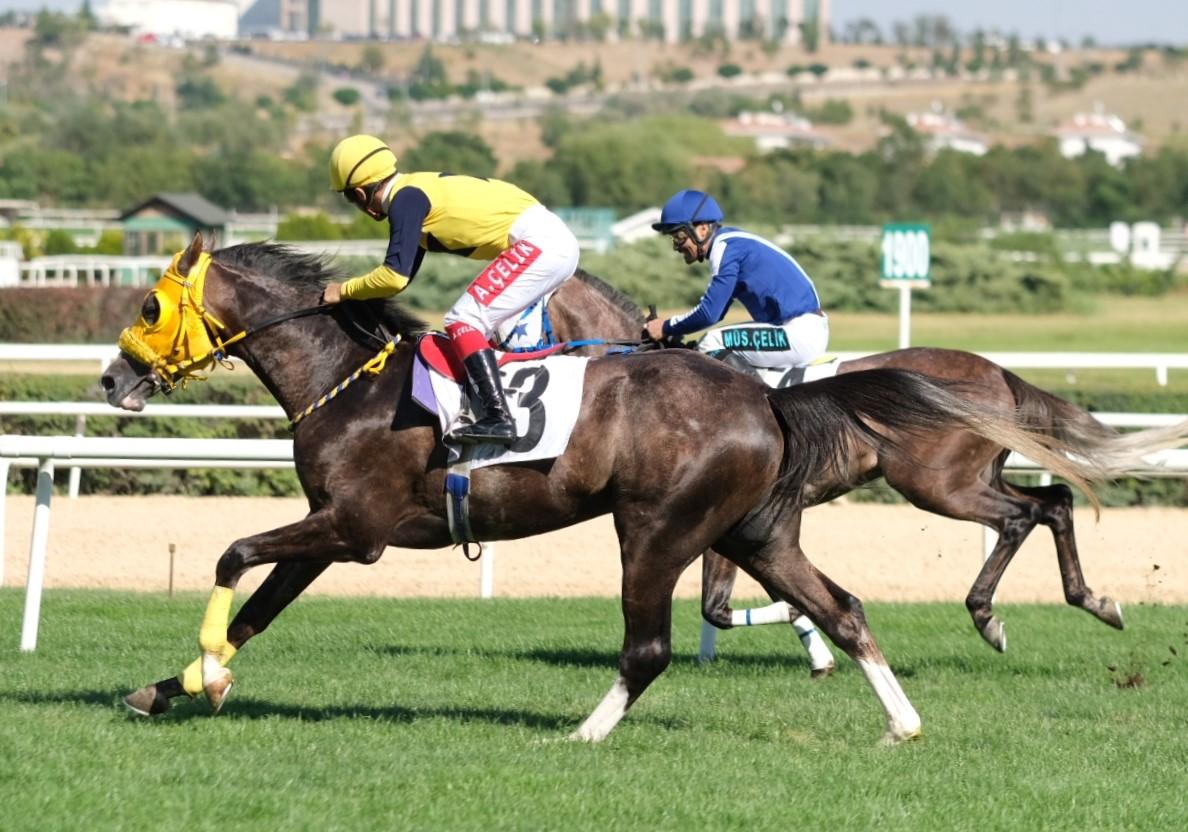ANKARA TAHMİNLERİM - 2 AĞUSTOS