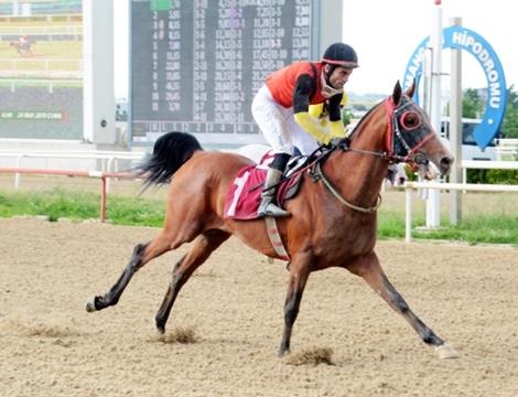 BURSA TAHMİNLERİM - 4 AĞUSTOS