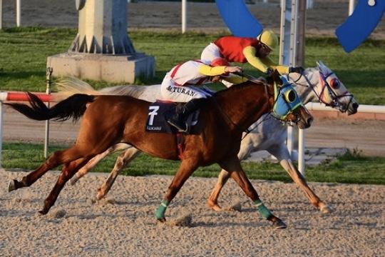 KOCAELİ TAHMİNLERİM - 21 AĞUSTOS