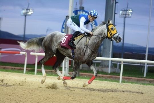KOCAELİ TAHMİNLERİM - 7 AĞUSTOS