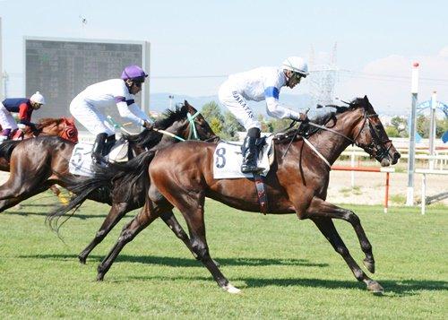 BURSA TAHMİNLERİM - 27 EKİM