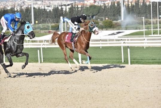 İZMİR TAHMİNLERİM - 30 EKİM