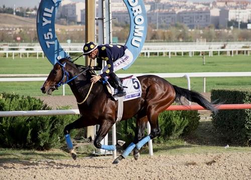 ANKARA TAHMİNLERİM - 23 EKİM