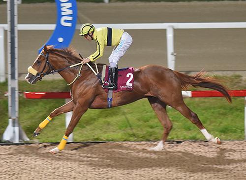 İSTANBUL TAHMİNLERİM - 24 EKİM