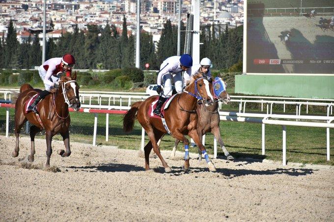 İZMİR TAHMİNLERİM - 23 EKİM