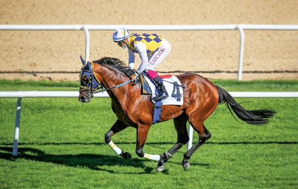 ANKARA TAHMİNLERİM - 8 KASIM