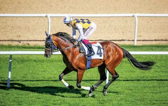 ANKARA TAHMİNLERİM - 15 KASIM