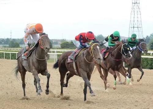 BURSA TAHMİNLERİM - 29 ARALIK