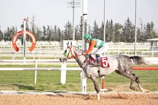 ADANA TAHMİNLERİM - 2 ARALIK