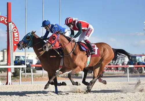 GÜZEL PROGRAM - 26 ARALIK ANTALYA