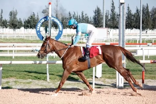 ADANA TAHMİNLERİM - 30 ARALIK