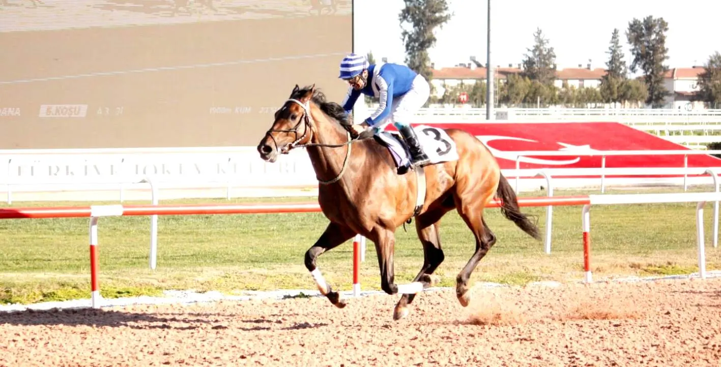 ADANA TAHMİNLERİM - 17 OCAK