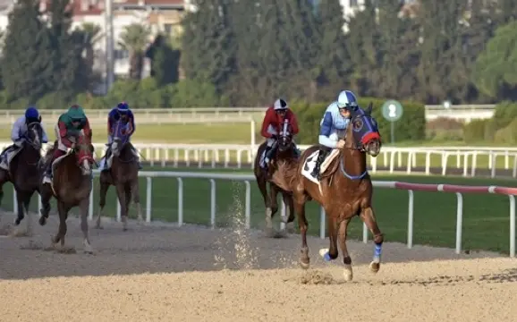 İZMİR TAHMİNLERİM - 15 OCAK