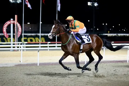 ANTALYA TAHMİNLERİM - 15 OCAK