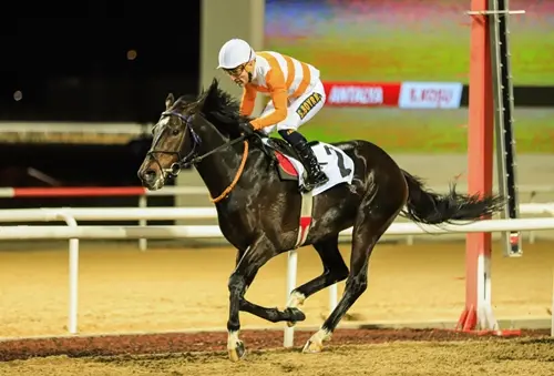 ANTALYA TAHMİNLERİM - 1 OCAK 2026