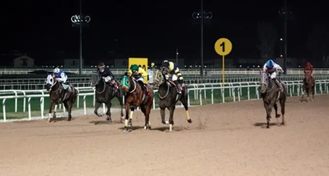 GÜZEL PROGRAM - ADANA 4 OCAK 2026