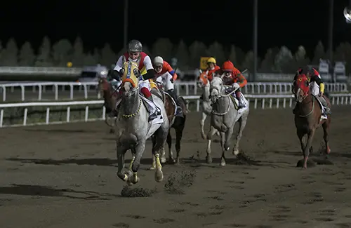 ŞANLIURFA ŞABLONUM - 23 ŞUBAT