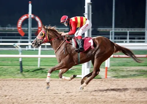 ADANA TAHMİNLERİM - 22 ŞUBAT