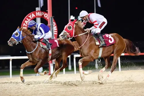 ANTALYA TAHMİNLERİM - 24 ŞUBAT