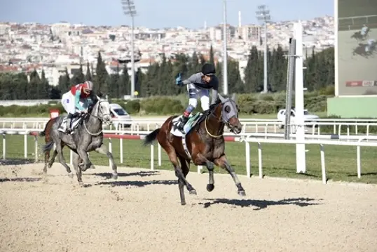 İZMİR TAHMİNLERİM - 26 ŞUBAT