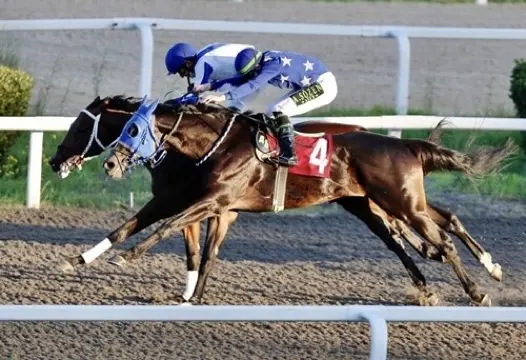 İSTANBUL TAHMİNLERİM - 25 ŞUBAT