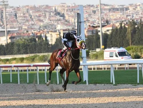 İZMİR TAHMİNLERİM - 22 ŞUBAT