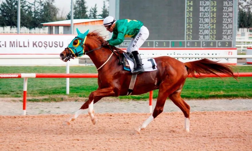 ADANA TAHMİNLERİM - 21 ŞUBAT