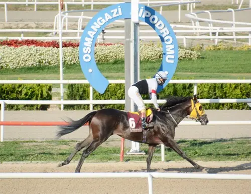 BURSA TAHMİNLERİM - 23 ŞUBAT