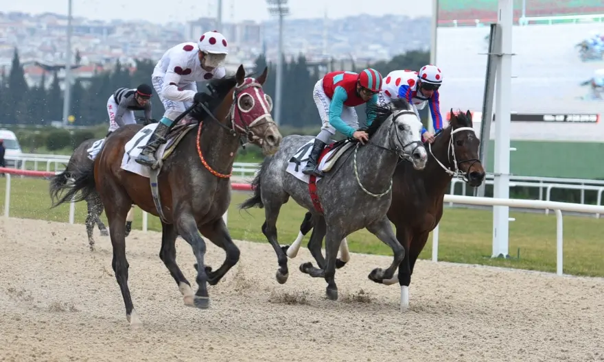 İZMİR TAHMİNLERİM - 20 ŞUBAT