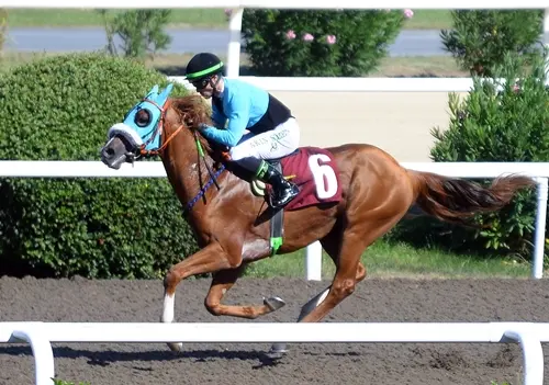 İSTANBUL TAHMİNLERİM - 28 ŞUBAT