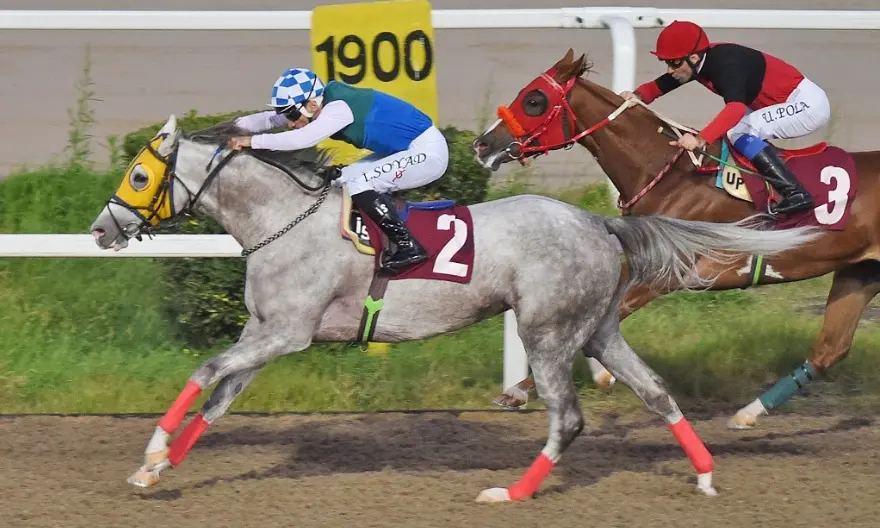 İSTANBUL TAHMİNLERİM - 21 ŞUBAT