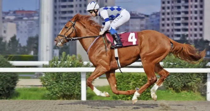 İSTANBUL TAHMİNLERİM - 7 MART