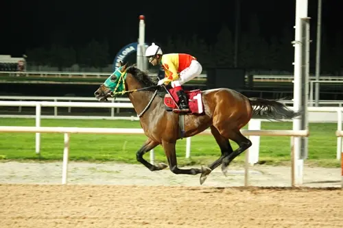 ADANA TAHMİNLERİM - 1 MART