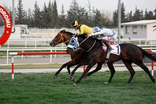 ADANA ŞABLONUM - 15 MART