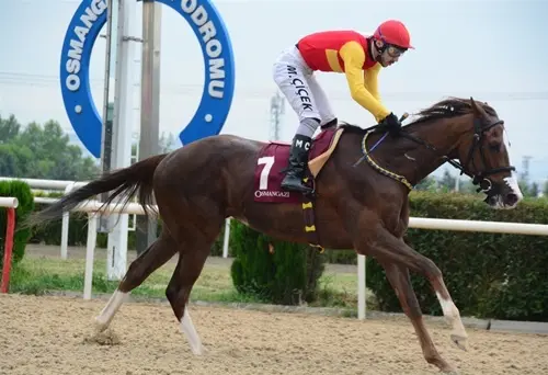 BURSA TAHMİNLERİM - 6 MART