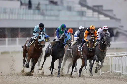 İZMİR TAHMİNLERİM - 1 MART