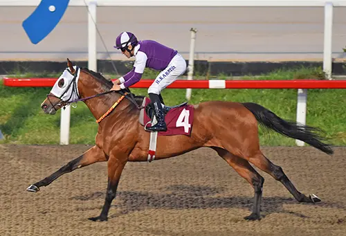 İSTANBUL TAHMİNLERİM - 14 MART