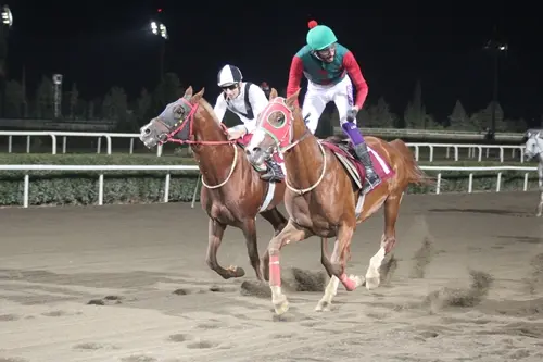 ŞANLIURFA NOTLARI - 23 MART