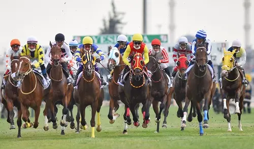 ADANA TAHMİNLERİM ( ERTELENEN YARIŞLAR ) 23 MART