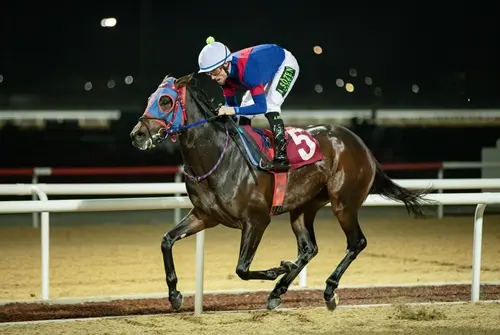 ANTALYA TAHMİNLERİM - 5 MART