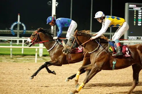 ADANA TAHMİNLERİM - 22 MART