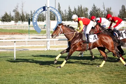 ADANA TAHMİNLERİM - 14 MART