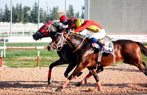 ADANA TAHMİNLERİM - 11 NİSAN