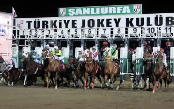 ŞANLIURFA NOTLARI - 27 NİSAN