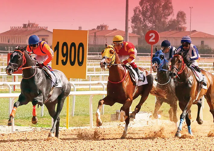 AKDENİZ DERBİSİ - 5 NİSAN ADANA