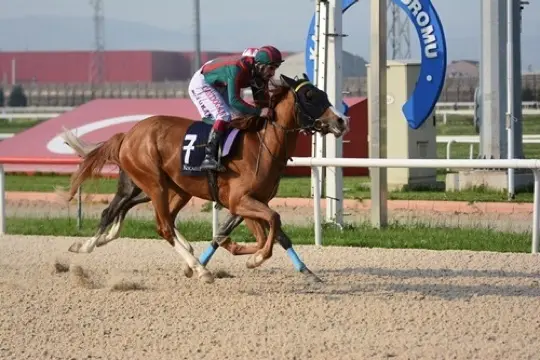 KOCAELİ TAHMİNLERİM - 5 MAYIS