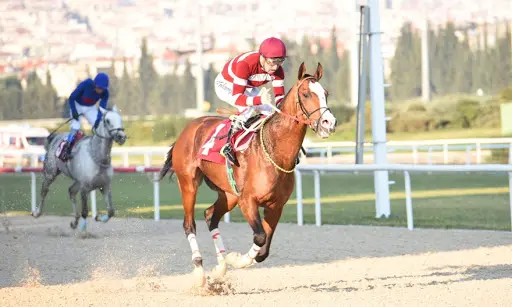 İZMİR NOTLARI VE ŞABLONUM - 5 TEMMUZ