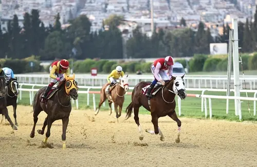 İZMİR TAHMİNLERİM - 15 AĞUSTOS